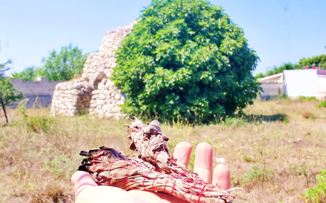 Rituali di Purificazione