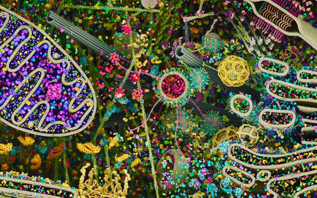 Come sarà il nostro futuro?